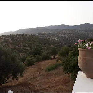  Hébergement de vacances Toufitri